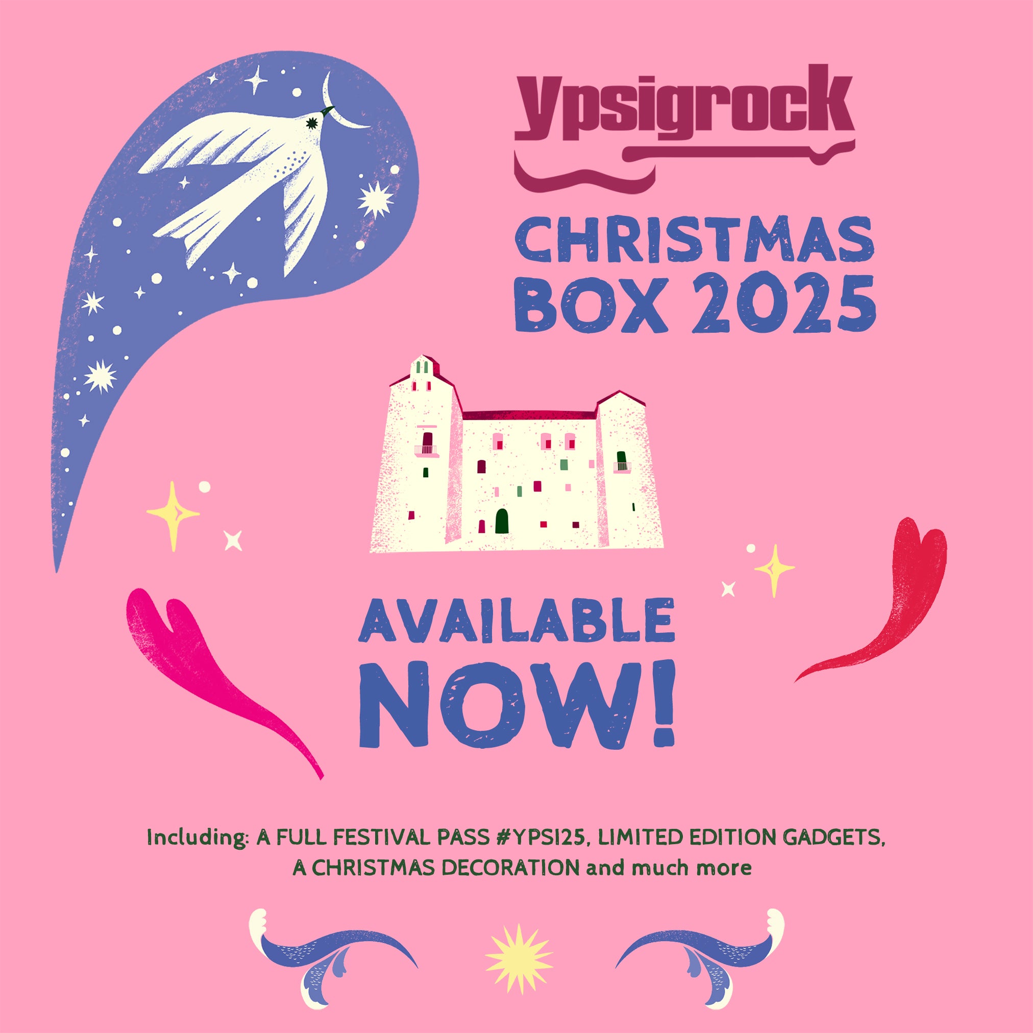 Christmas Box #Ypsi25 - Limited Edition